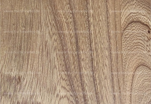 Esstisch 400x110cm Rüster - Ulme Mikado Gestell